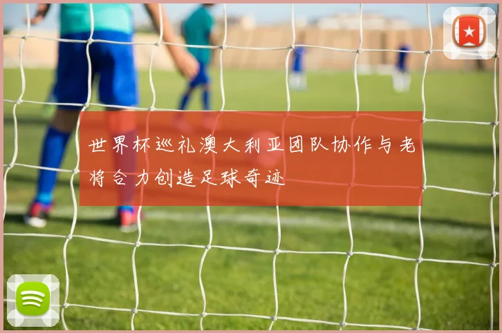世界杯巡礼澳大利亚团队协作与老将合力创造足球奇迹